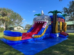 IMG 0108 1759794642 Shark Combo