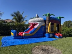 IMG 390620Small 1759794642 1 Shark Combo