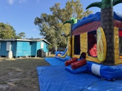 IMG 506420Small 1759794642 Shark Combo