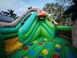 IMG 766120Small 1759794271 Rain Forest Kid Zone