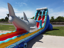 dji fly 20250911 123012 886 1757608439953 photo optimized 17618679 1 Great White Waterslide